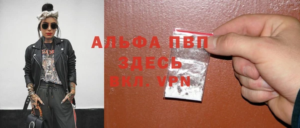 прущие грибы Иннополис