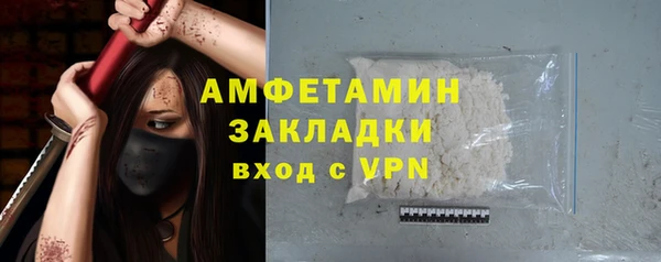 ПСИЛОЦИБИНОВЫЕ ГРИБЫ Инта