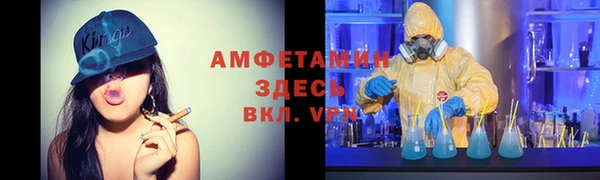 прущие грибы Иннополис