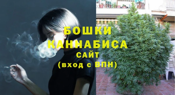 ПСИЛОЦИБИНОВЫЕ ГРИБЫ Инта