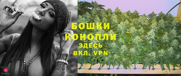 прущая мука Инсар