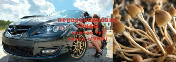 прущая мука Инсар