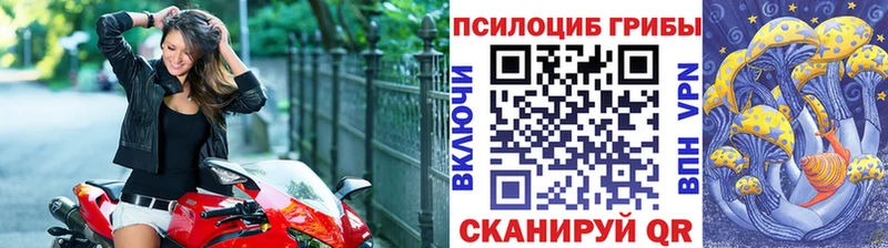 Галлюциногенные грибы Psilocybine cubensis  Спасск-Рязанский 